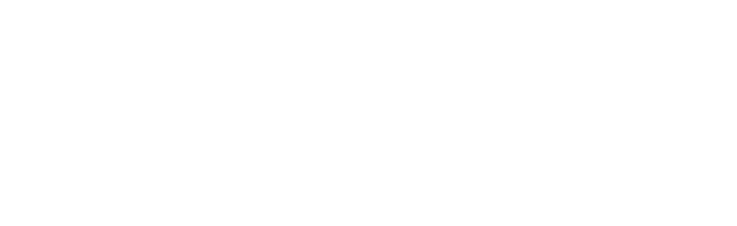 PSI_Logo_Submark_Text_White