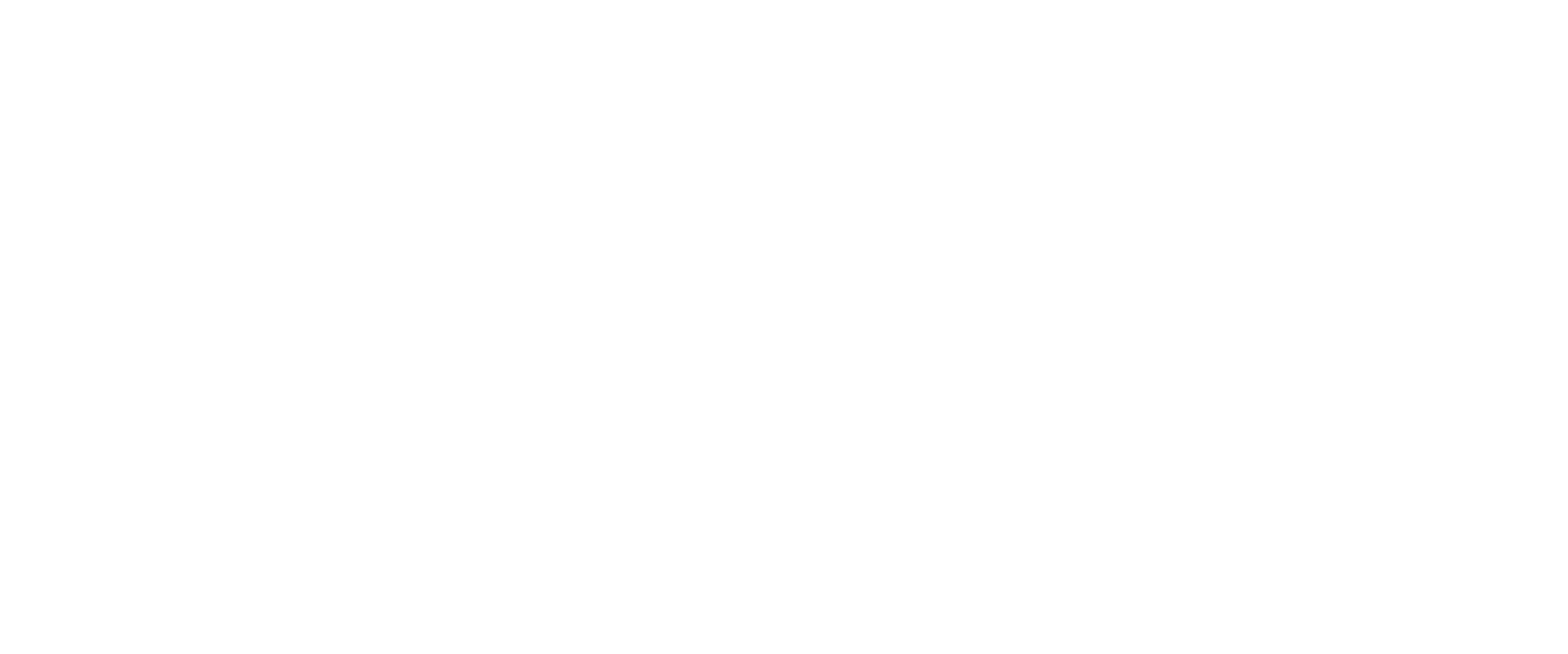 PSI_Logo_V1_White